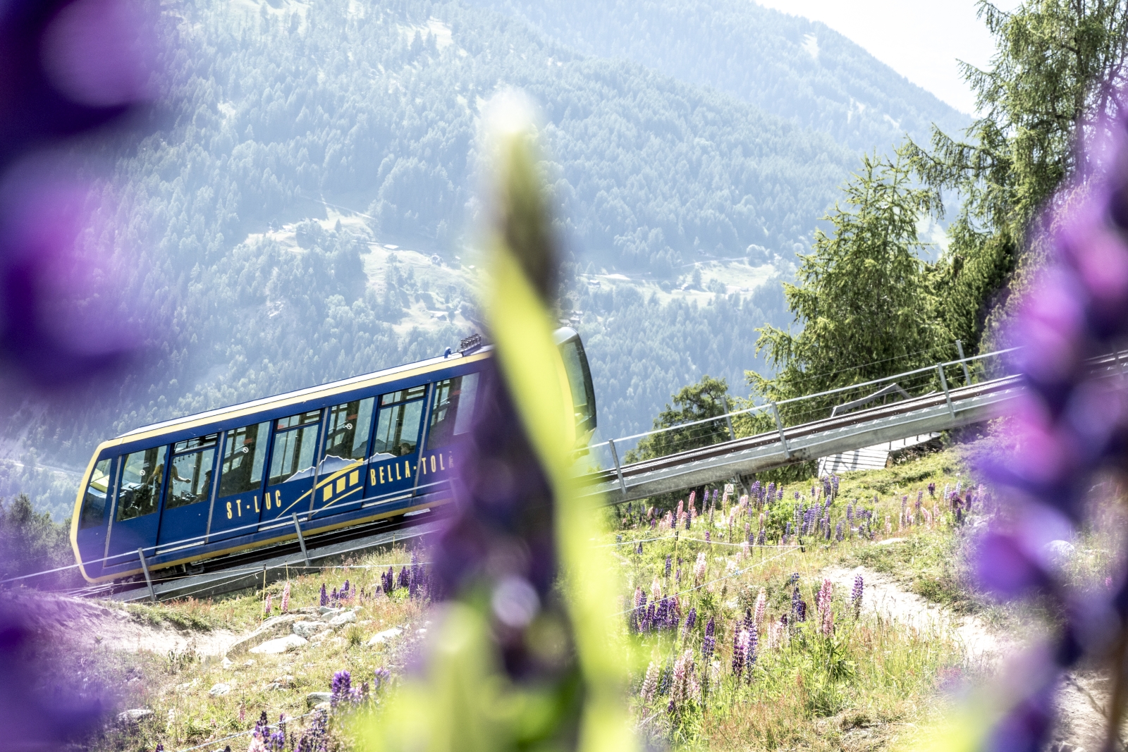 Funicular or Tsapé chairlift return trip
